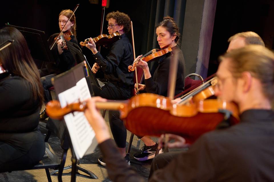 A group of string musicians play at a concert