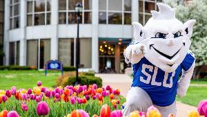 SLU Billiken Zoom Background