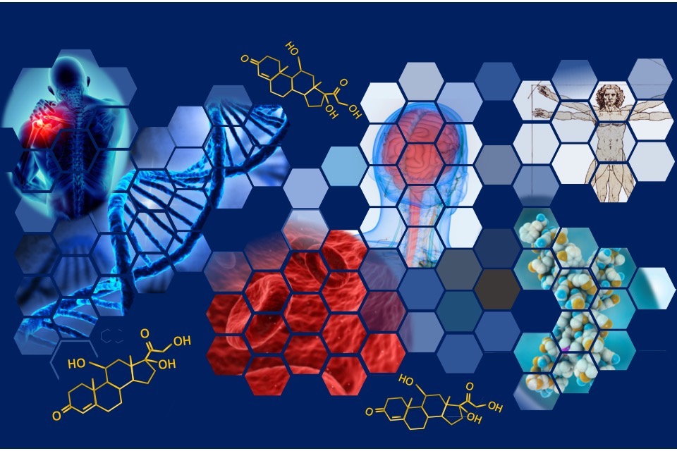 An illustration of molocules